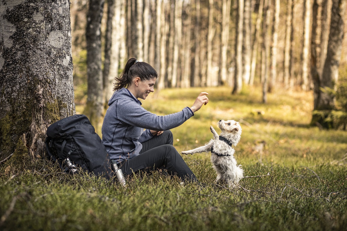 Eine Frau spielt im Wald mit einem kleinen Hund